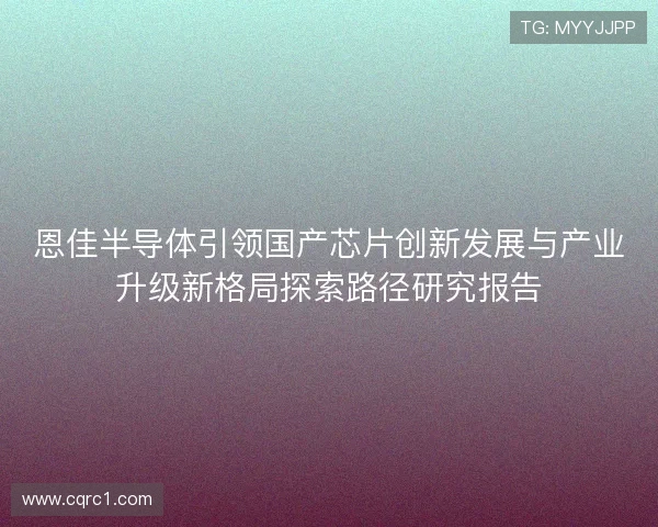 恩佳半导体引领国产芯片创新发展与产业升级新格局探索路径研究报告